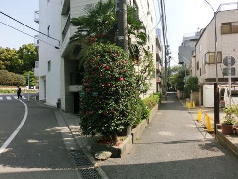 物件周辺