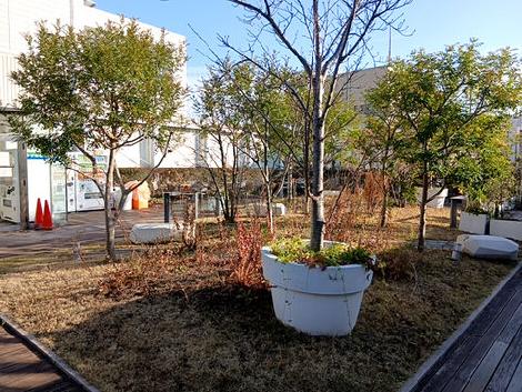 屋上