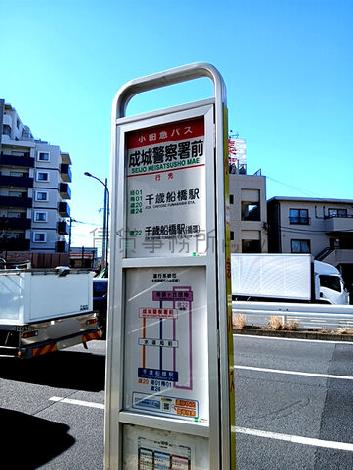 物件周辺