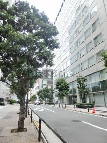 街路樹の綺麗な通り