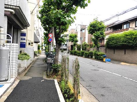 物件周辺