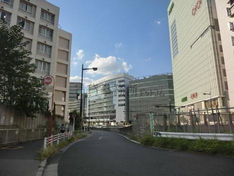 新宿御苑からの撮影。中央部分のガラス張り建物です