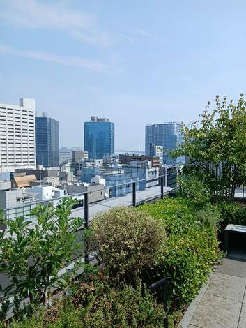 屋上