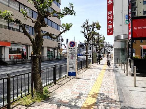 物件周辺