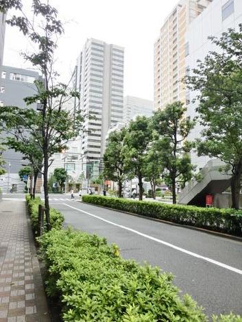 緑が生い茂る脇道
