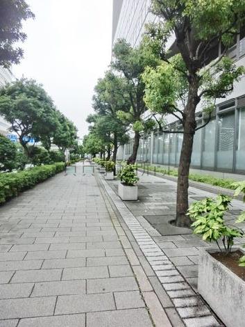 緑がきれいな前面歩道