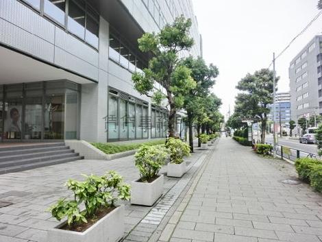 見透しの良い通り