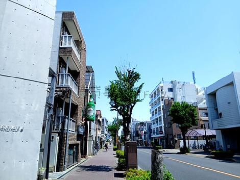 物件周辺