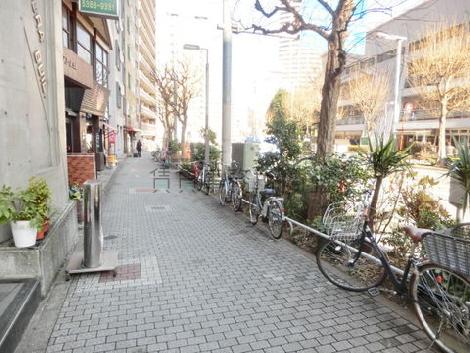 綺麗に舗装された歩道