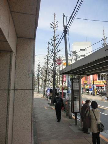 物件周辺