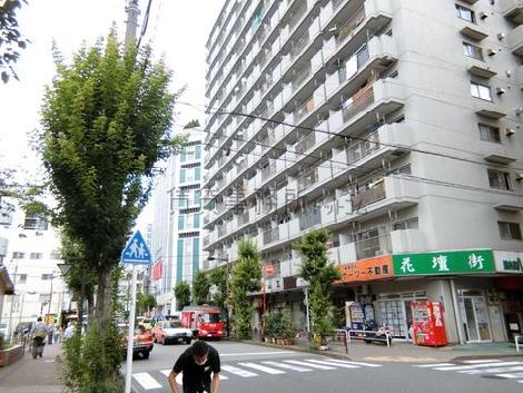 物件周辺
