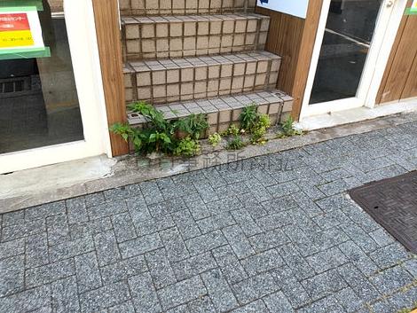 正面玄関