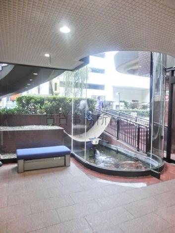 ガラス面越しに鯉の泳ぐ姿が望めます
