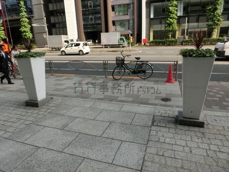 入り口前にはオシャレな植物が建ち並んでいます