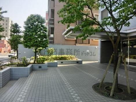 敷地内は緑が豊富です