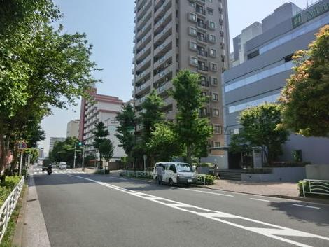 見通しの良い道路です