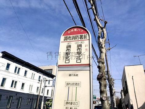物件周辺