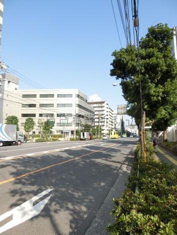 街路樹のある通り