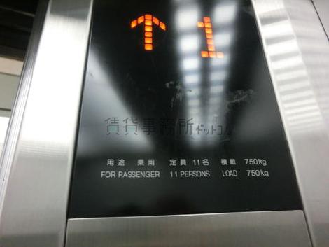 11人乗りです