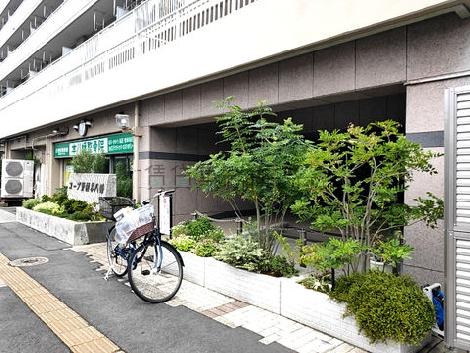 正面玄関