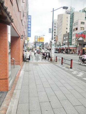玄関前の歩道