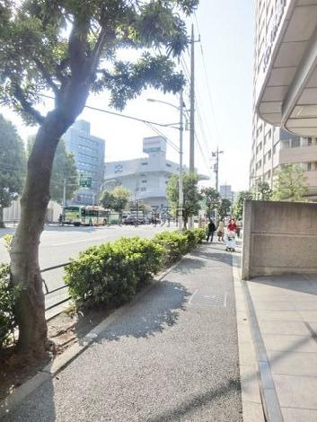 緑の多い歩道