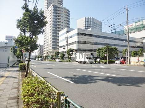 海岸通り沿い