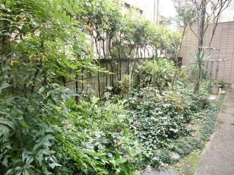 物件周りには緑が沢山植えられています