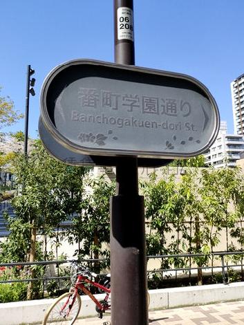 番町学園通り沿い