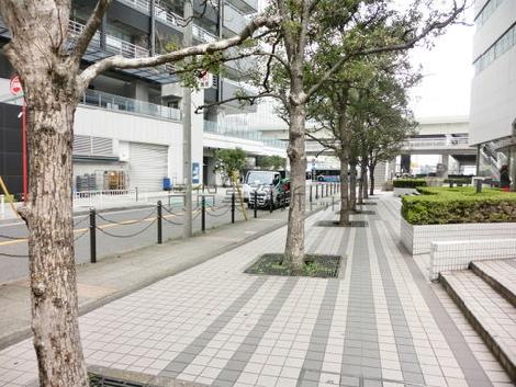 物件周辺