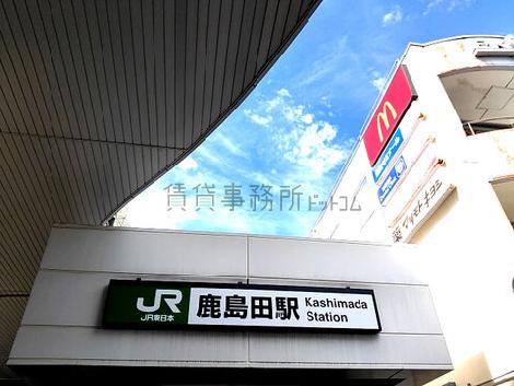 物件周辺