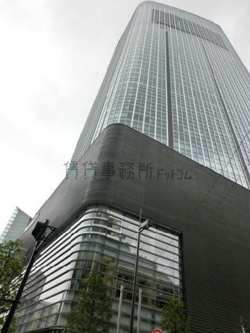とても背丈が高いです
