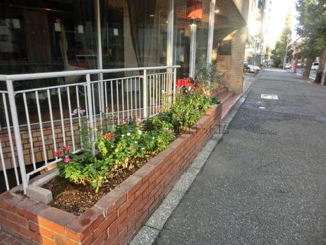 植込みがあります