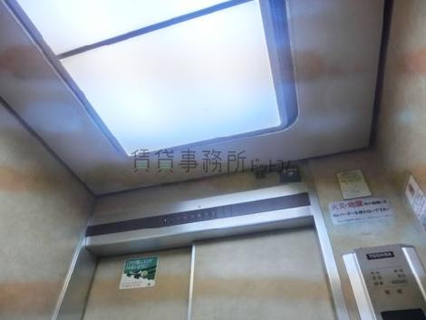 天井の照明