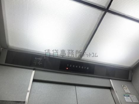 天井の照明