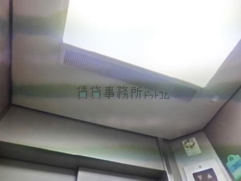 天井の照明