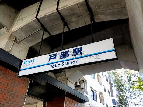 物件周辺