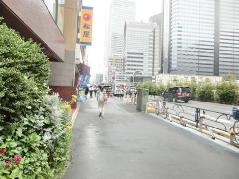 幅広い歩道