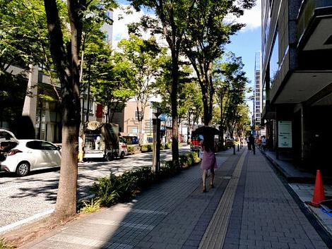 物件周辺