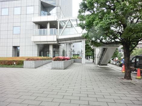 ゆとりのある敷地