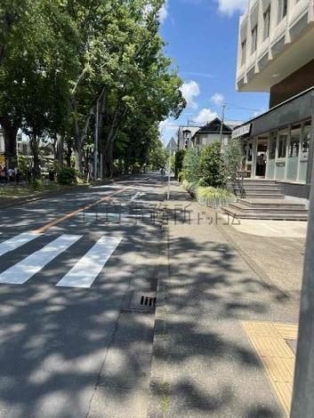 氷川参道の緑を感じられます