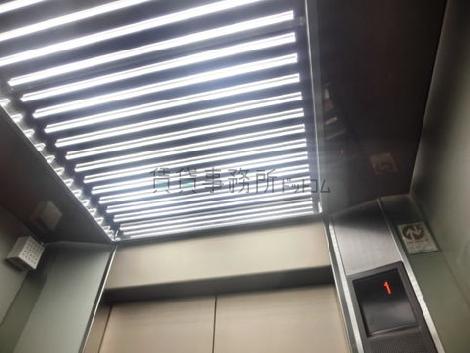 天井の照明