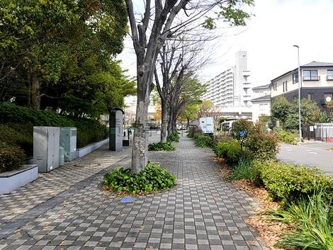 物件周辺
