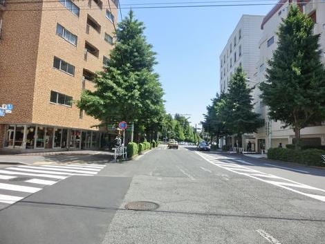 物件周辺