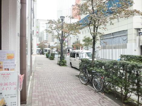 街路樹のある通りに面しています