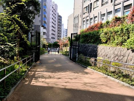 物件周辺