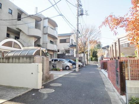 住宅街に望めます