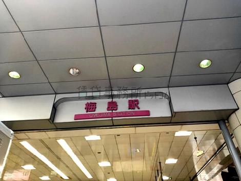 物件周辺