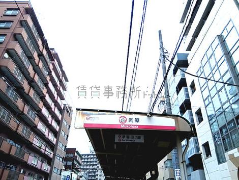 物件周辺