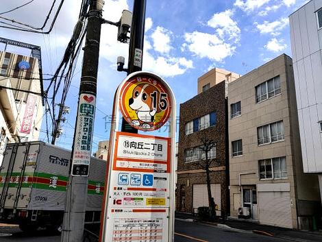物件周辺